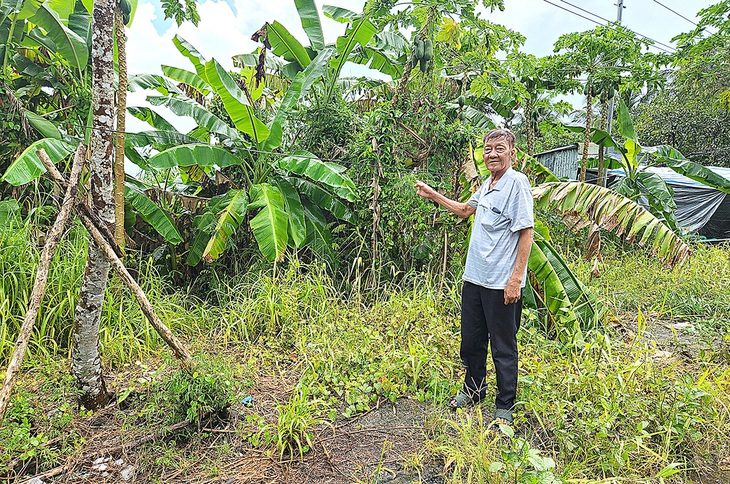 Ông Trương Văn Trình tại phần đất mà ông đang đòi lại - Ảnh: ĐAN THUẦN